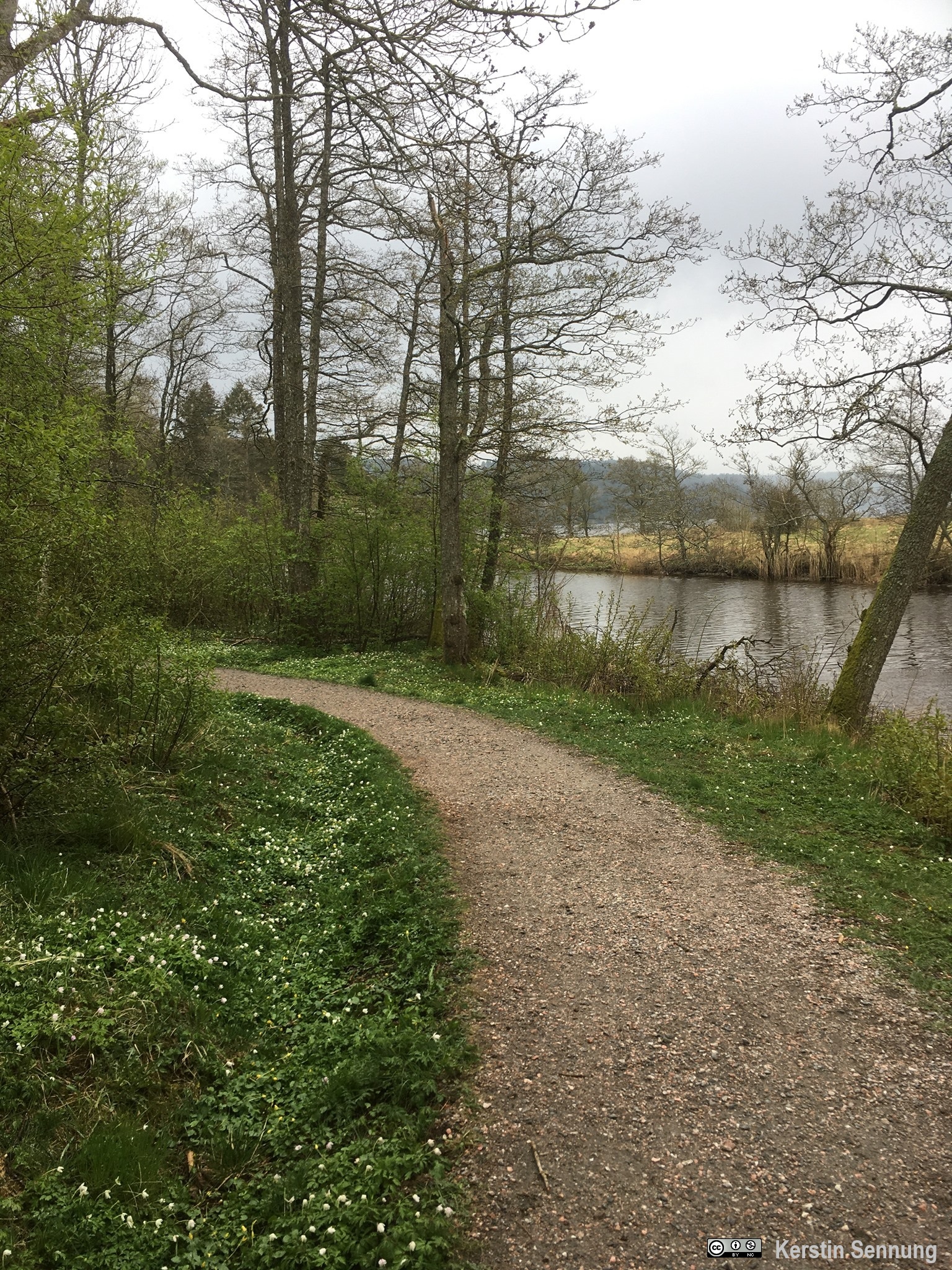 Maltes Stig - bild 10