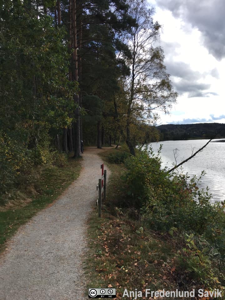 Maltes Stig - bild 17